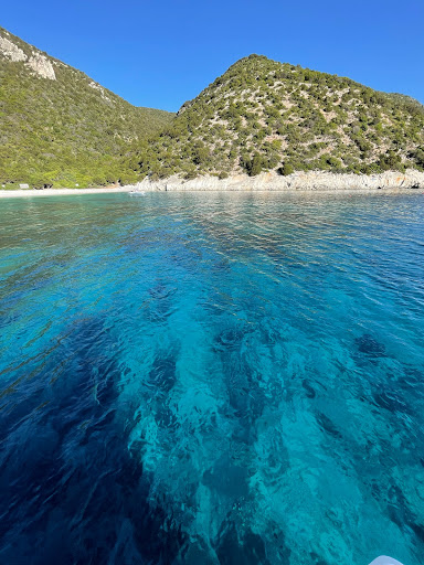 Photo from customer review