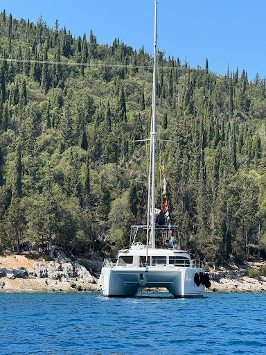 Photo from customer review