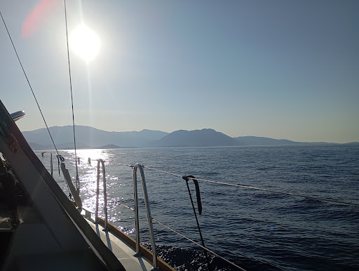 Photo from customer review