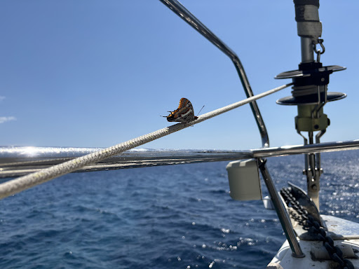 Photo from customer review