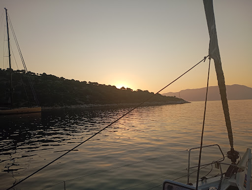 Photo from customer review