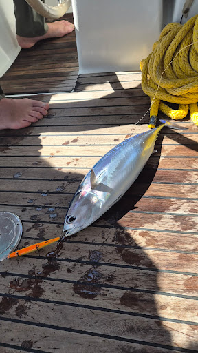 Photo from customer review